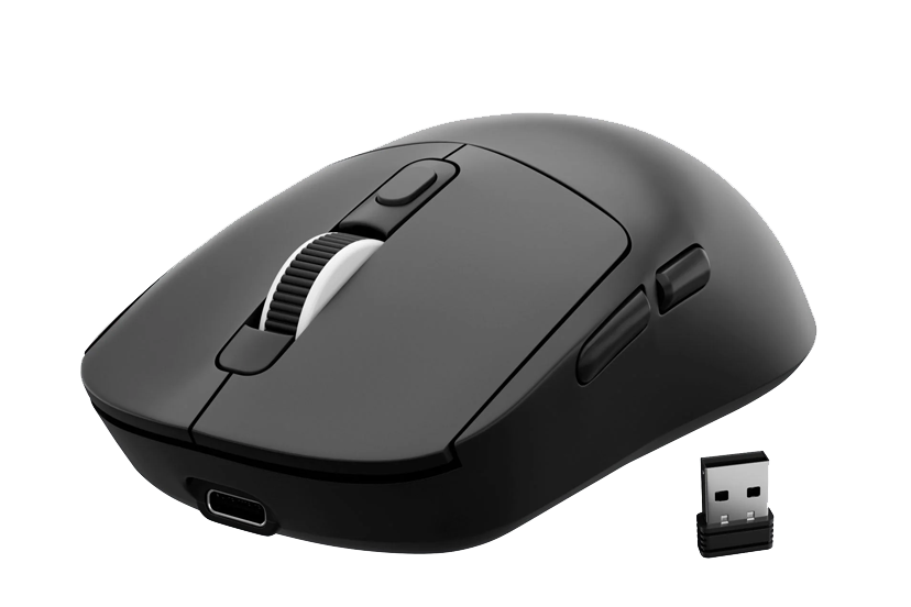 Mouse